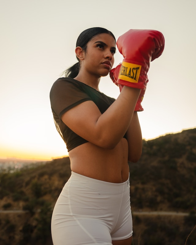 Leistungsdiagnostik und Trainingsplanung Boxer